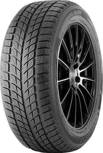 Double-Star-22545--R18--DW09--95-T--XL